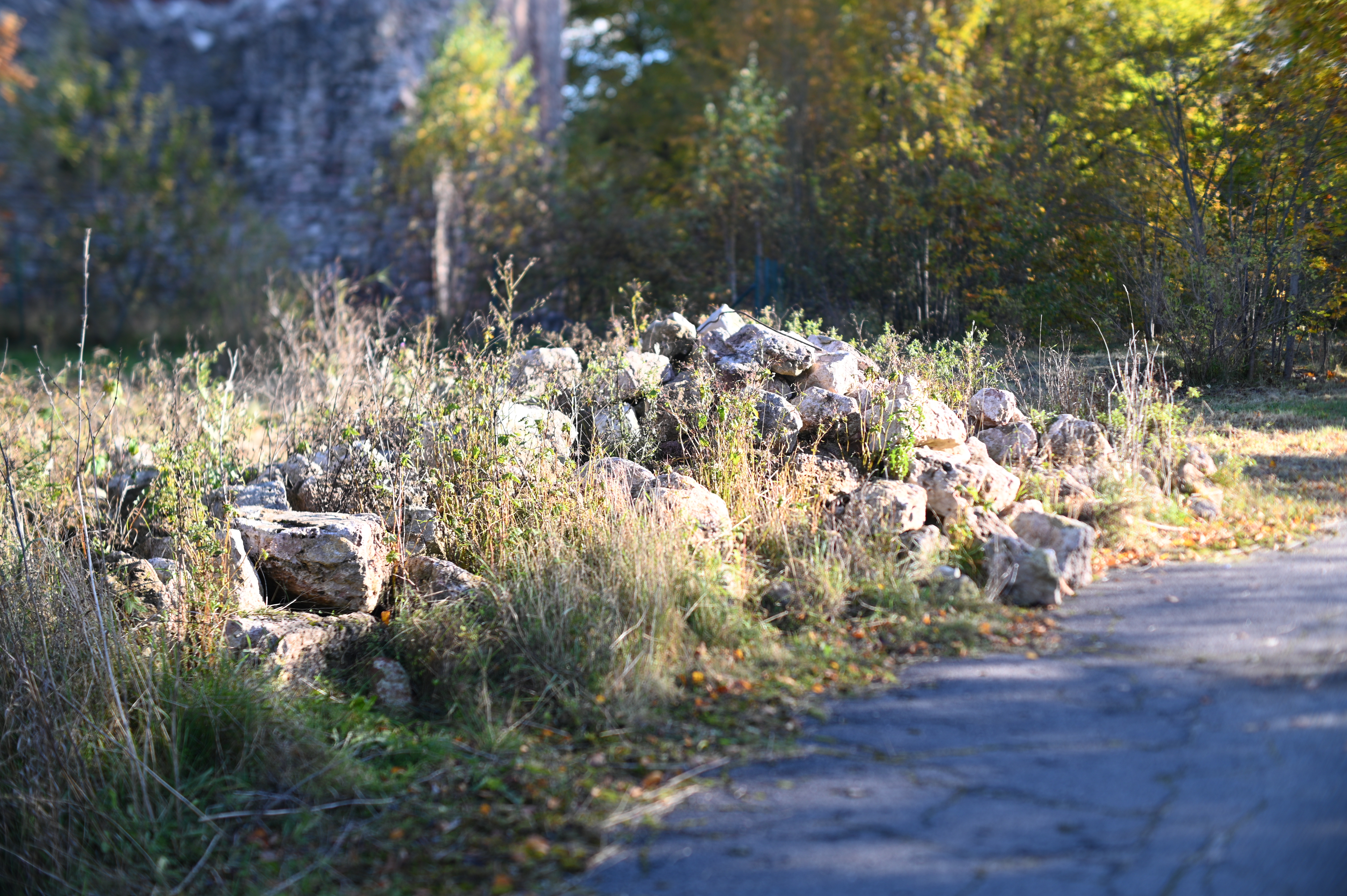 2025/10/18 - walk/DSC_0070.JPG